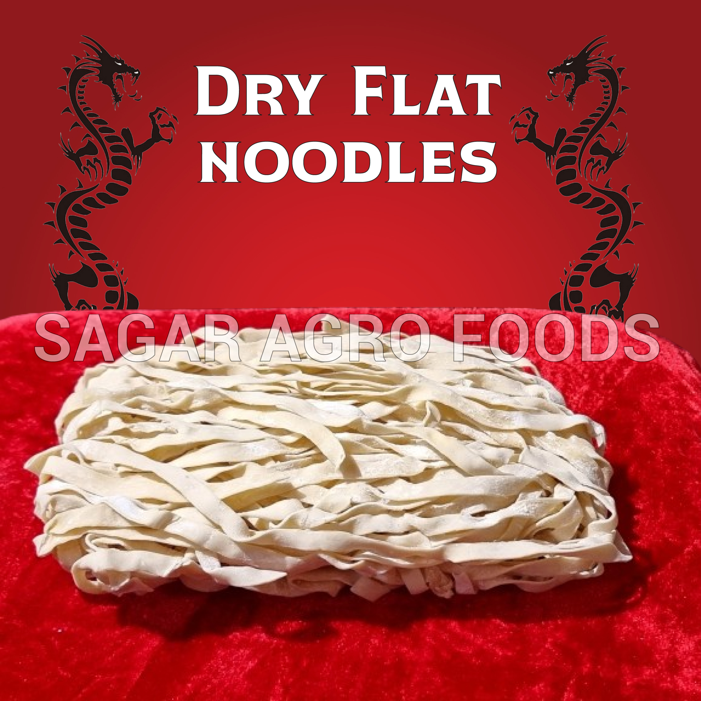 Sagar Agro Food's Dry Flat Noodles!