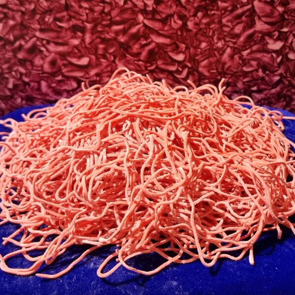 tomato noodles. tomato noodles.